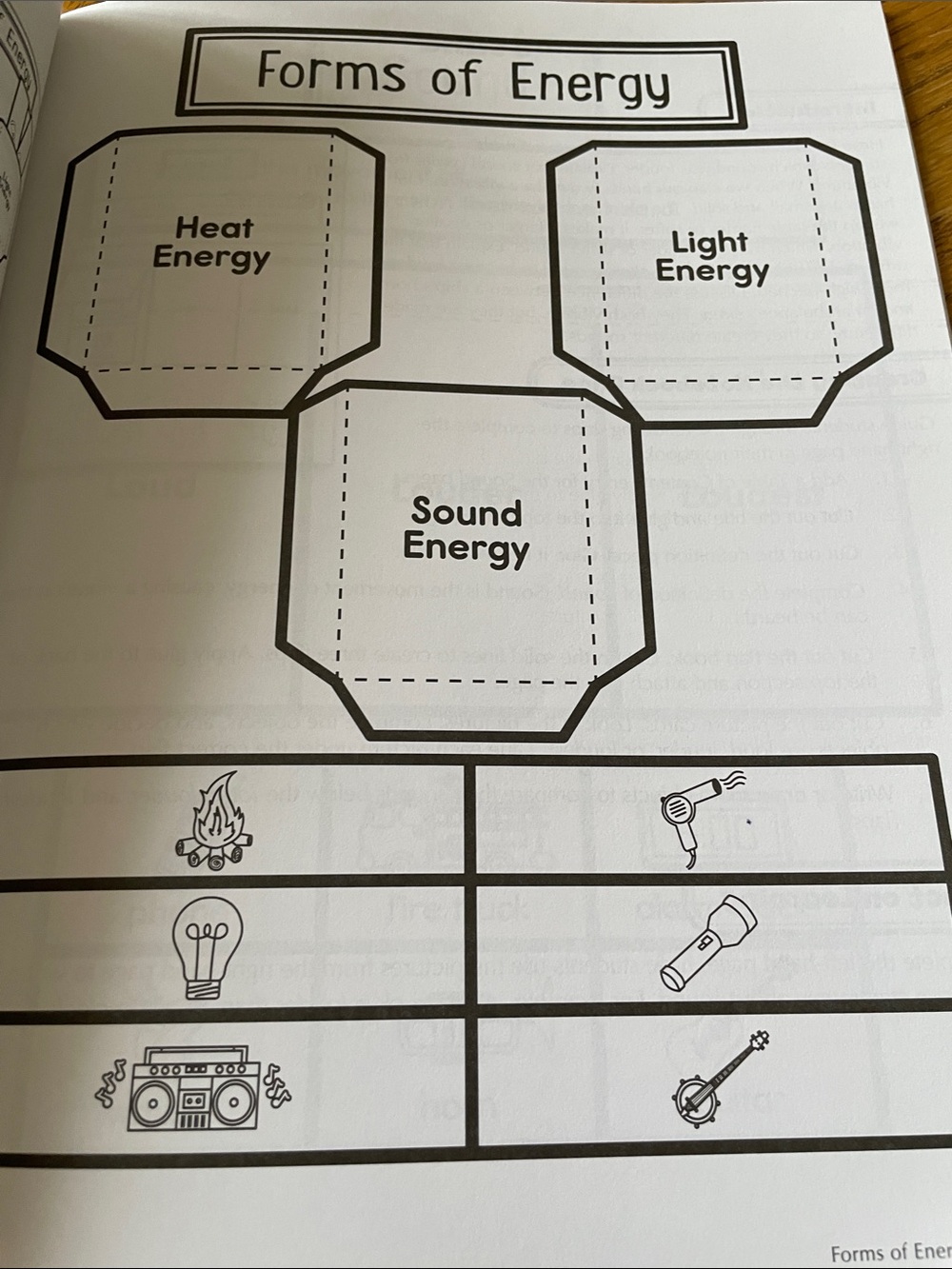 Interactive Notebooks Science Grade 1 NEW - Picture 9 of 13